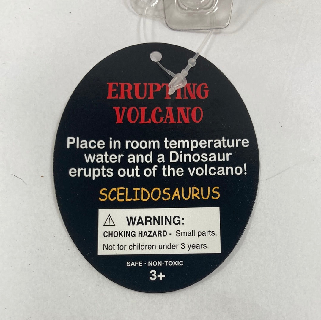 ERUPTING VOLCANO/DINOSAUR GROWERS-8130