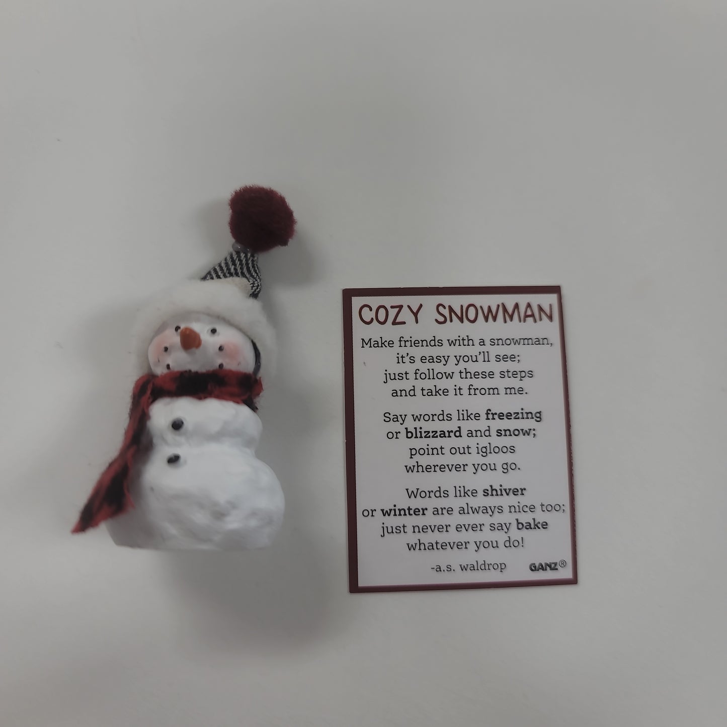 COZY SNOWMAN-1086