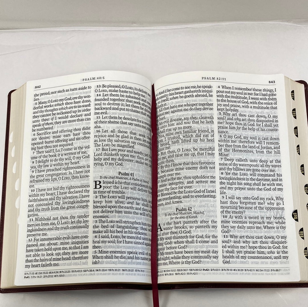 KJV SUPER GIAN PRINT BURG BIBLE-7399
