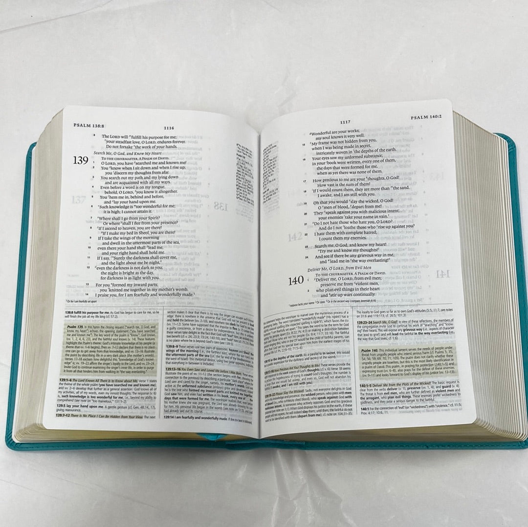 ESV STUDY BIBLE PERS SIZE TURQ-0781