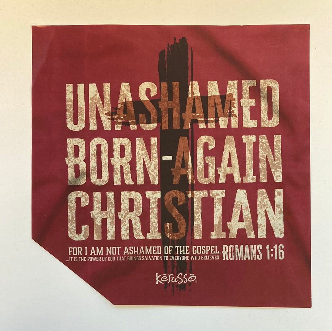 UNASHAMED ADULT TEE 4X-5626