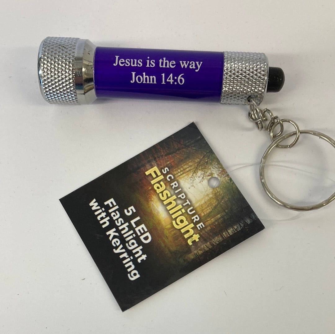 5 LED FLASHLIGHT/KEYRING PURPLE-8784