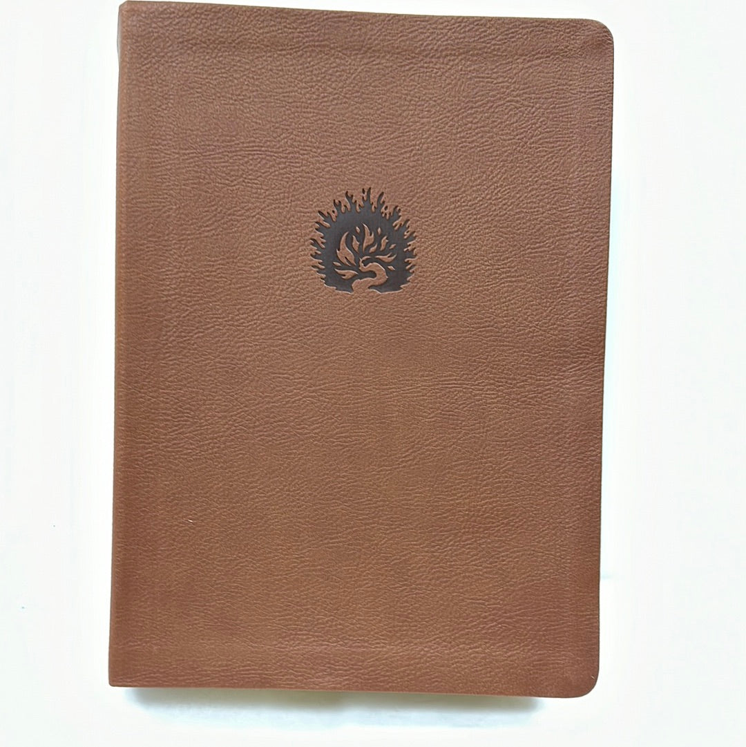 ESV REFORMATION STUDY BIBLE BROWN-4444