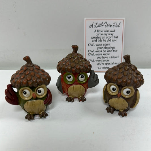 A LITTLE WISE OWL STONES-7195