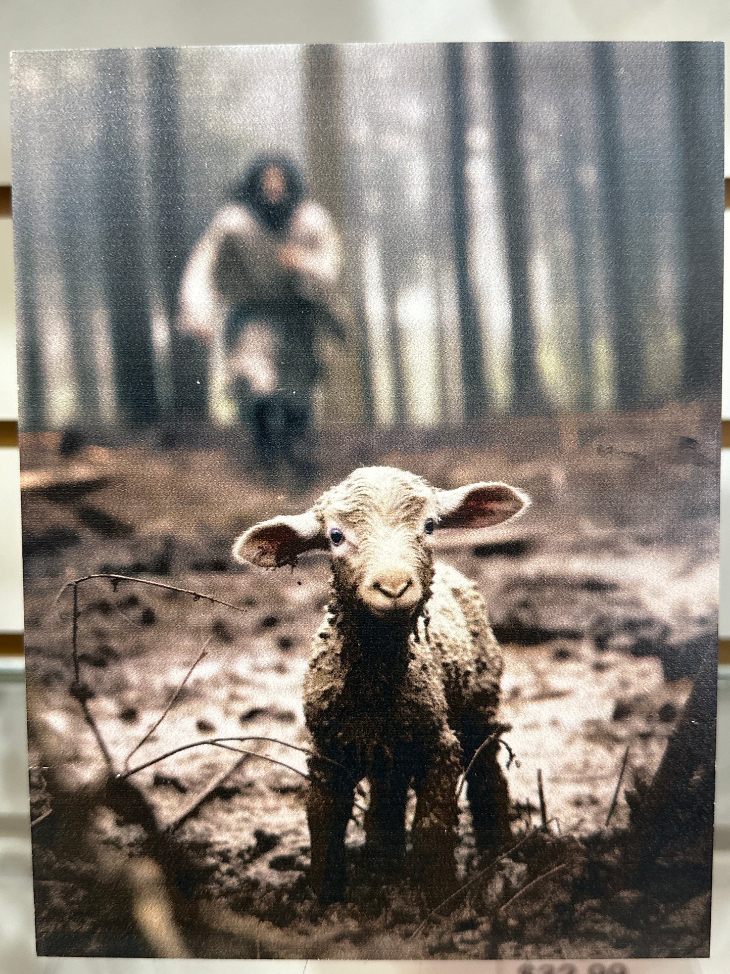 LAMB SM TABLETOP/PLAQUE-4342