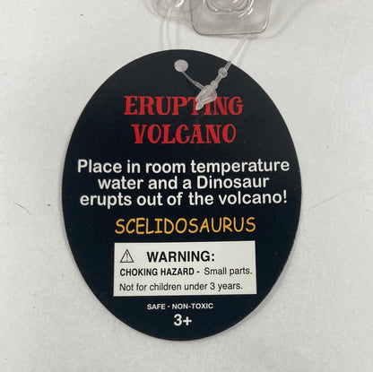 ERUPTING VOLCANO/DINOSAUR GROWERS-8130