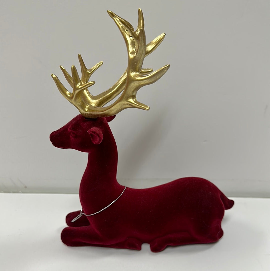SITTING REINDEER-5343