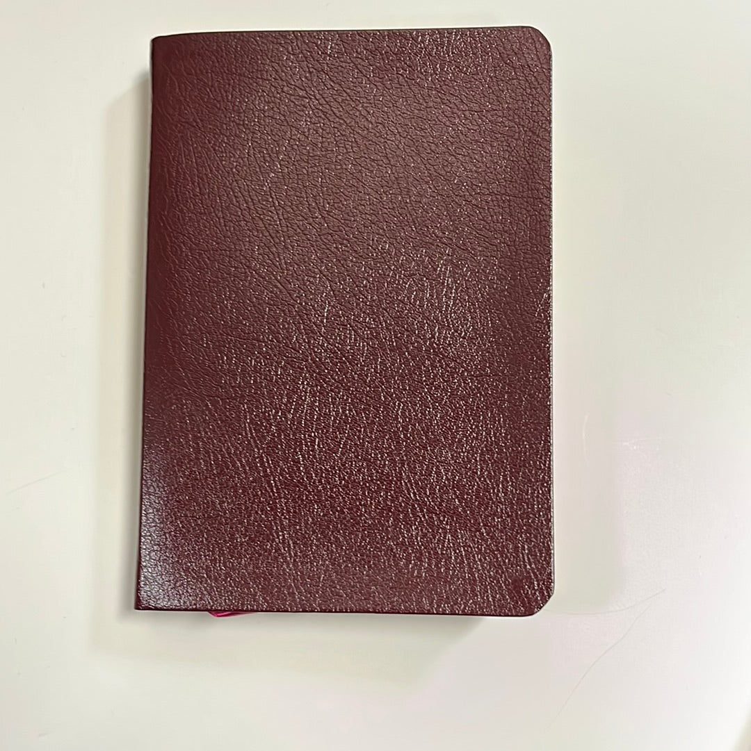 SLIMLINE REF BLTHR BUR NLT BIBL-2201