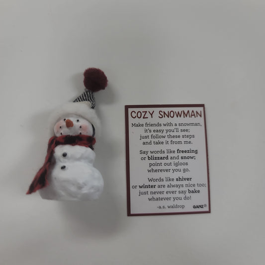 COZY SNOWMAN-1086