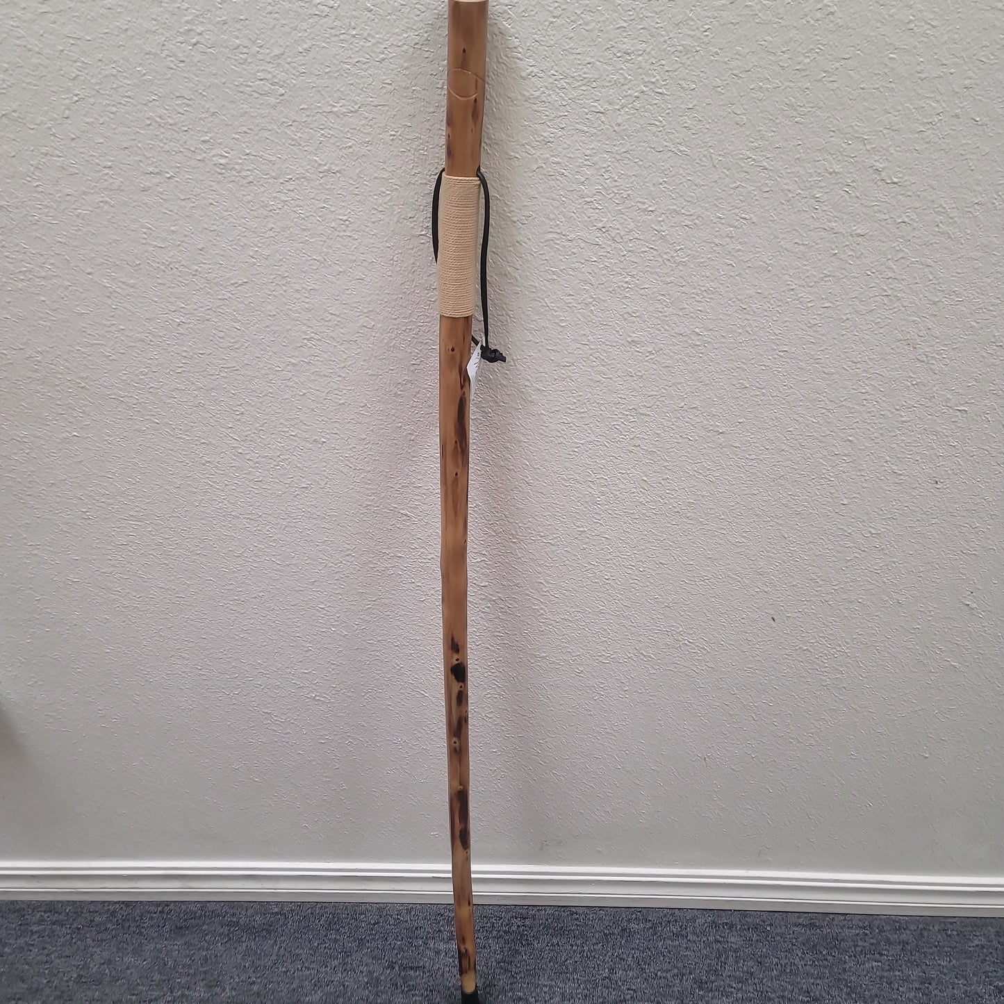WALKING STICK/FISH-7528