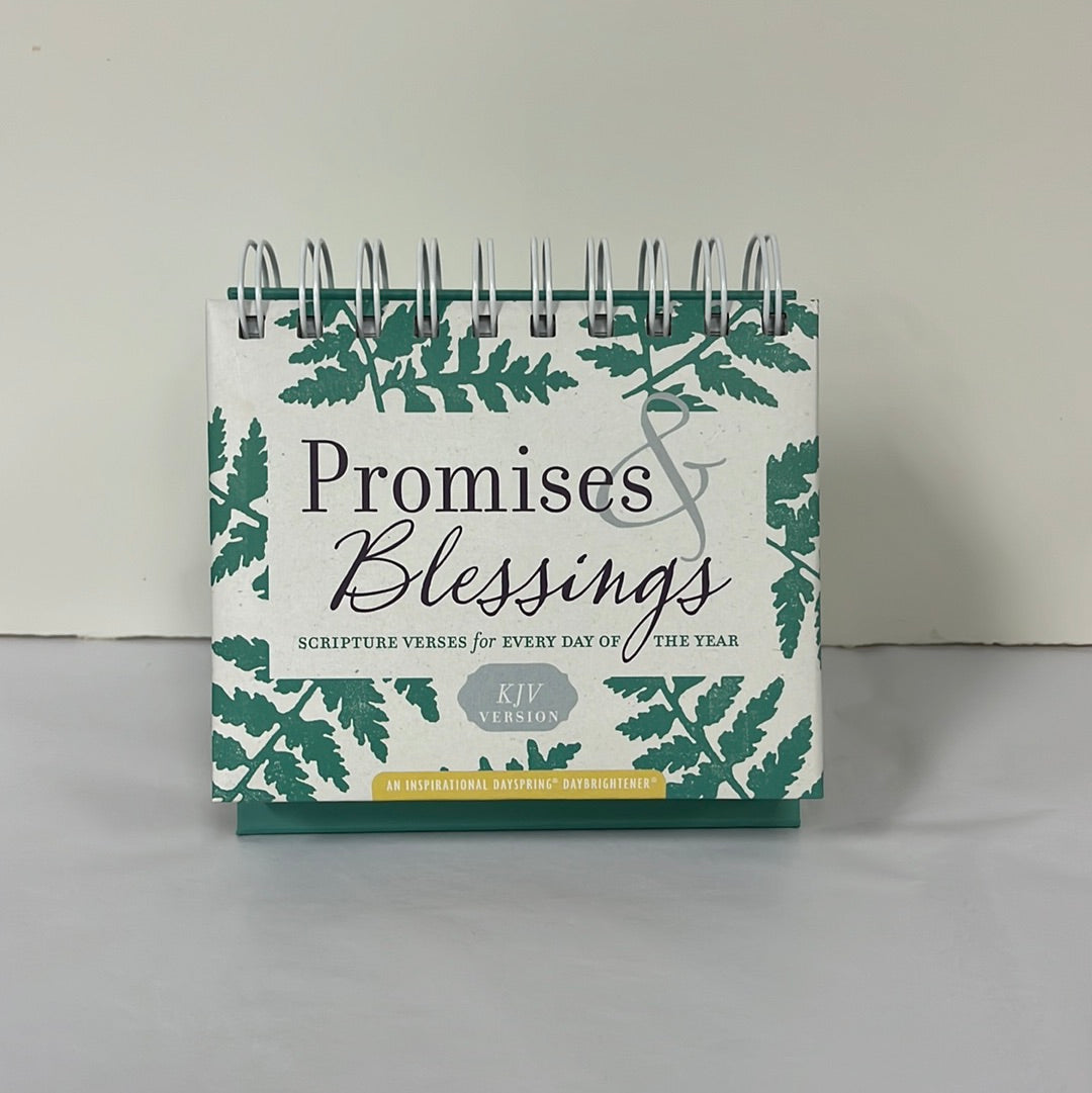 PROMISES & BLESSINGS DAYBRIGHTN-3512