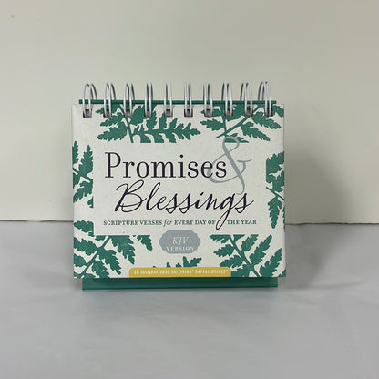 PROMISES & BLESSINGS DAYBRIGHTN-3512