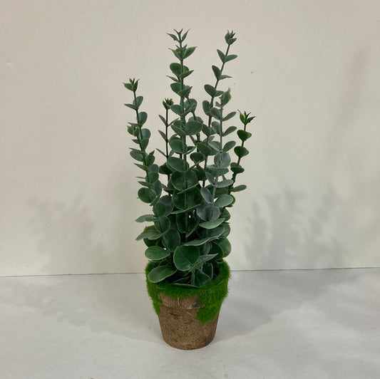ARTIF EUCALYPTUS IN PLANTER-5091