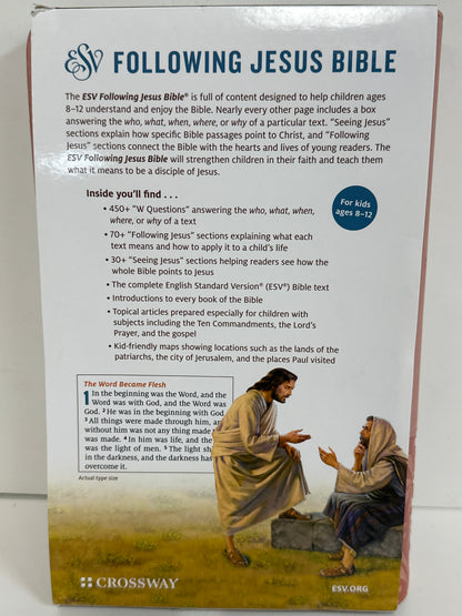 ESV FOLLOWING JESUS BIBLE BLUSH ROSE-0151