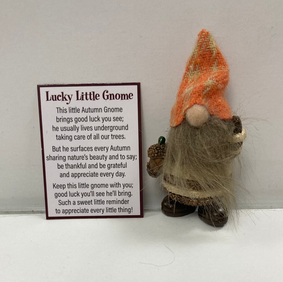 LUCKY LITTLE AUTUMN GNOME-9311