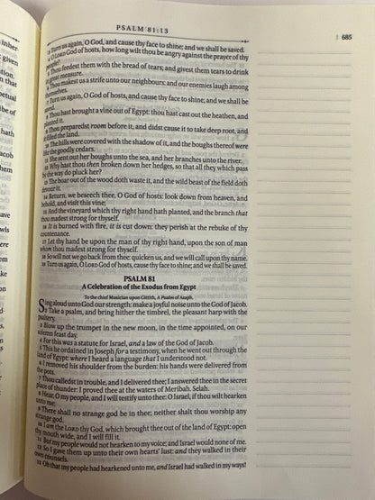 KJV NOTE TAKING LARGE PRINT BIBLE ROSE GOLD-8828