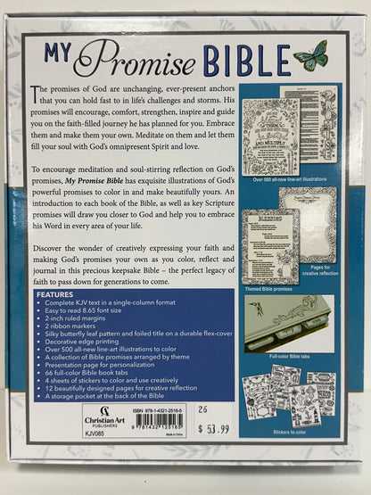 KJV MY PROMISE BIBLE PURPLE PRINT-5165