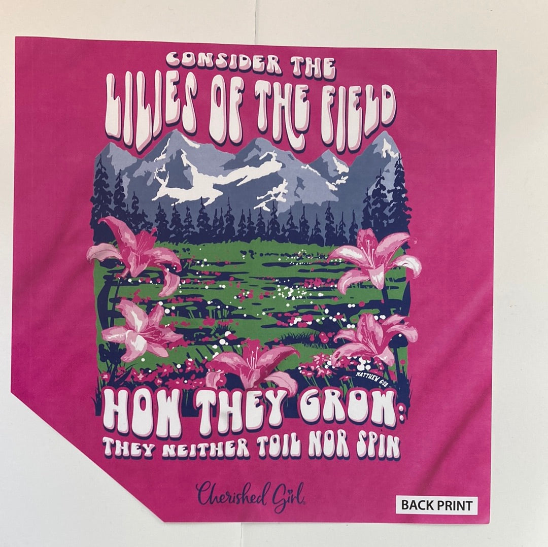LILLIES CHER GIRL TEE 3X-6180