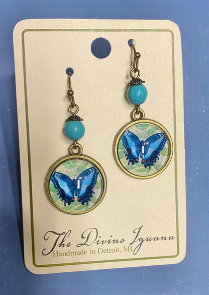 DIVINE IGUANA ASSORTED EARRINGS-1787