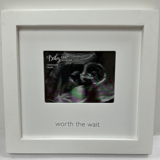 WORTH THE WAIT FRAME-2310