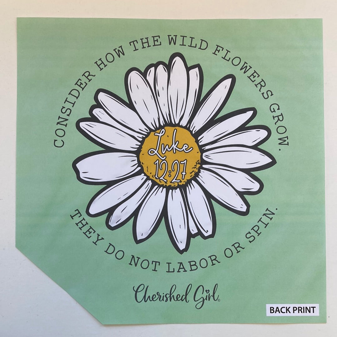 CONSIDER THE WILDFLOWERS CHER GIRL TEE 3X-5318