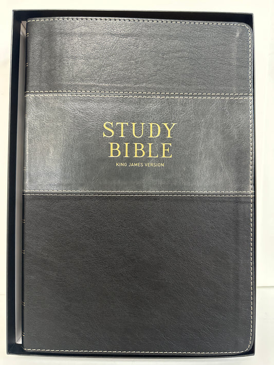 KJV LARGE PRINT STUDY BIBLE BLACK/GRAY-0366