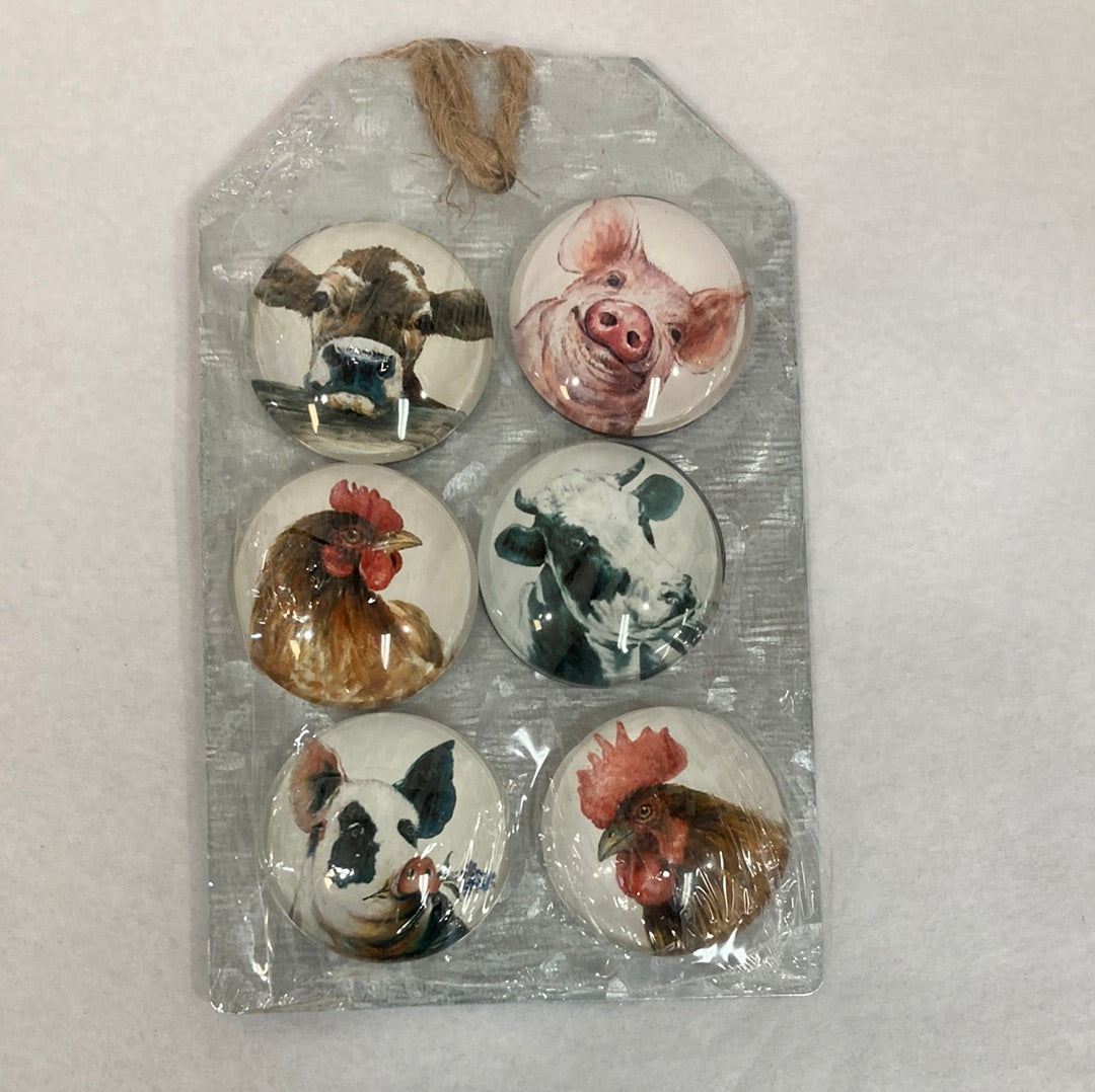 FARM ANIMAL MAGNETS S/6-6638