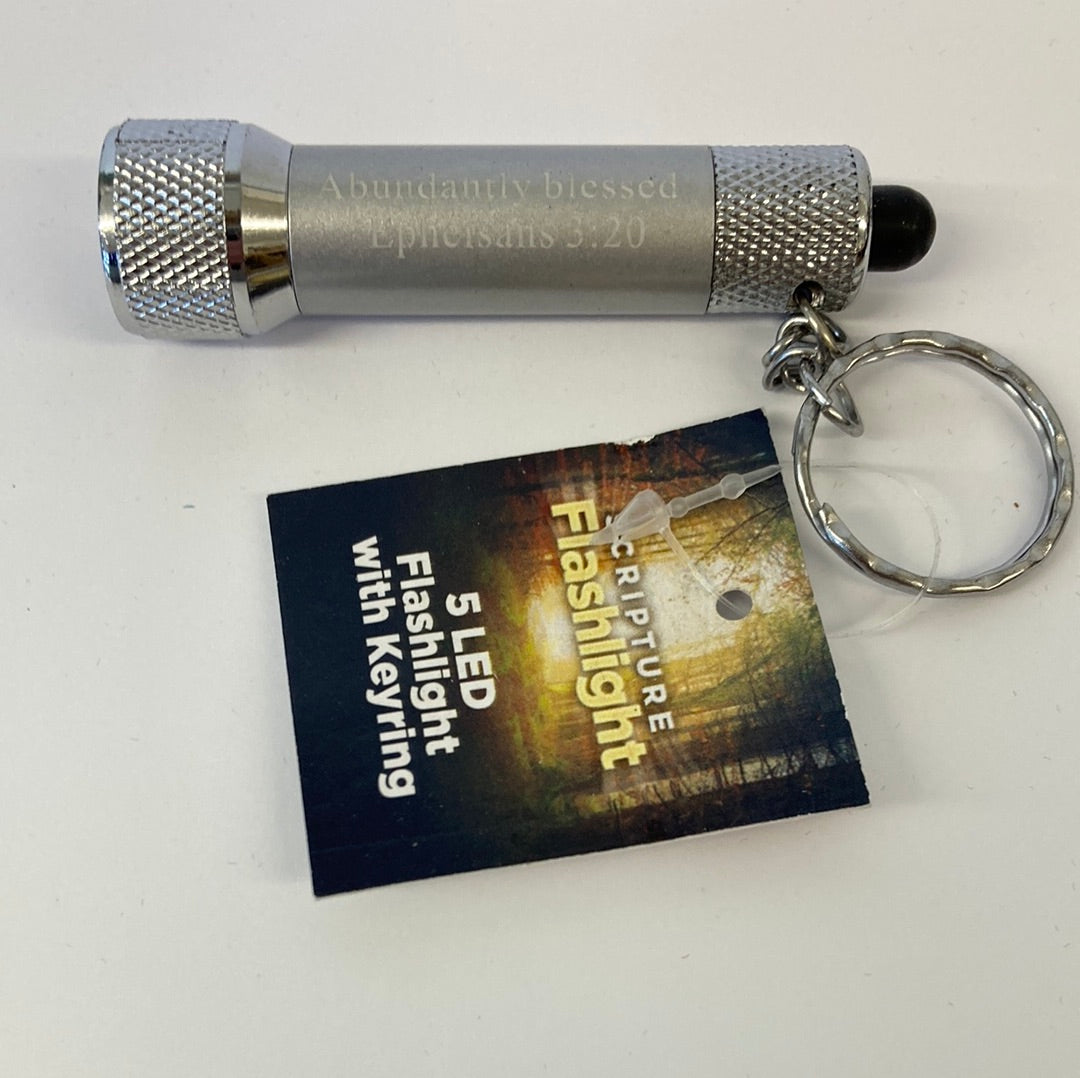 5 LED FLASHLIGHT/KEYRING SILVER-8746