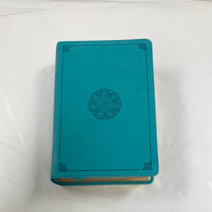 ESV STUDY BIBLE PERS SIZE TURQ-0781