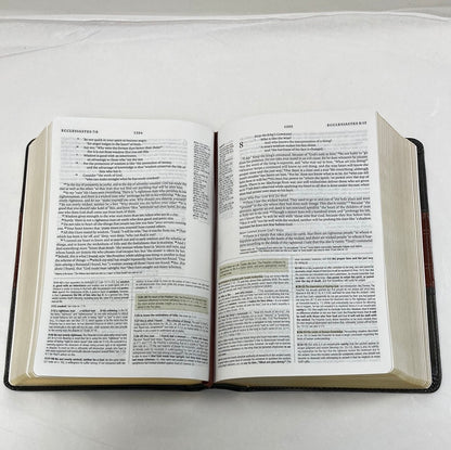 ESV STUDY BIBLE PER/SIZE FO/TAN-8556