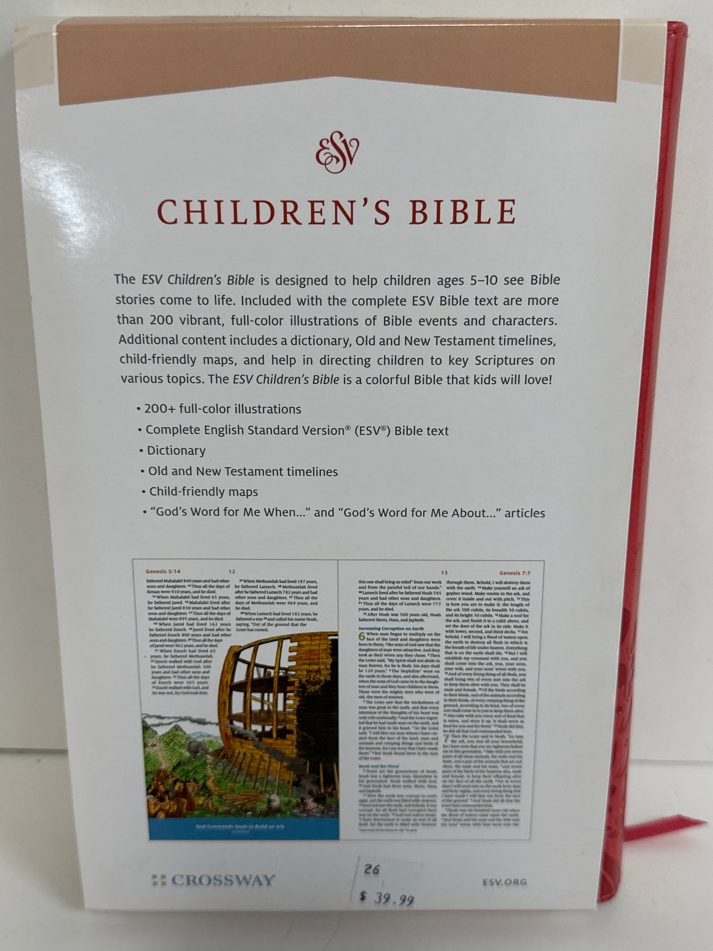 ESV CHILDREN'S BIBLE CORAL-0144