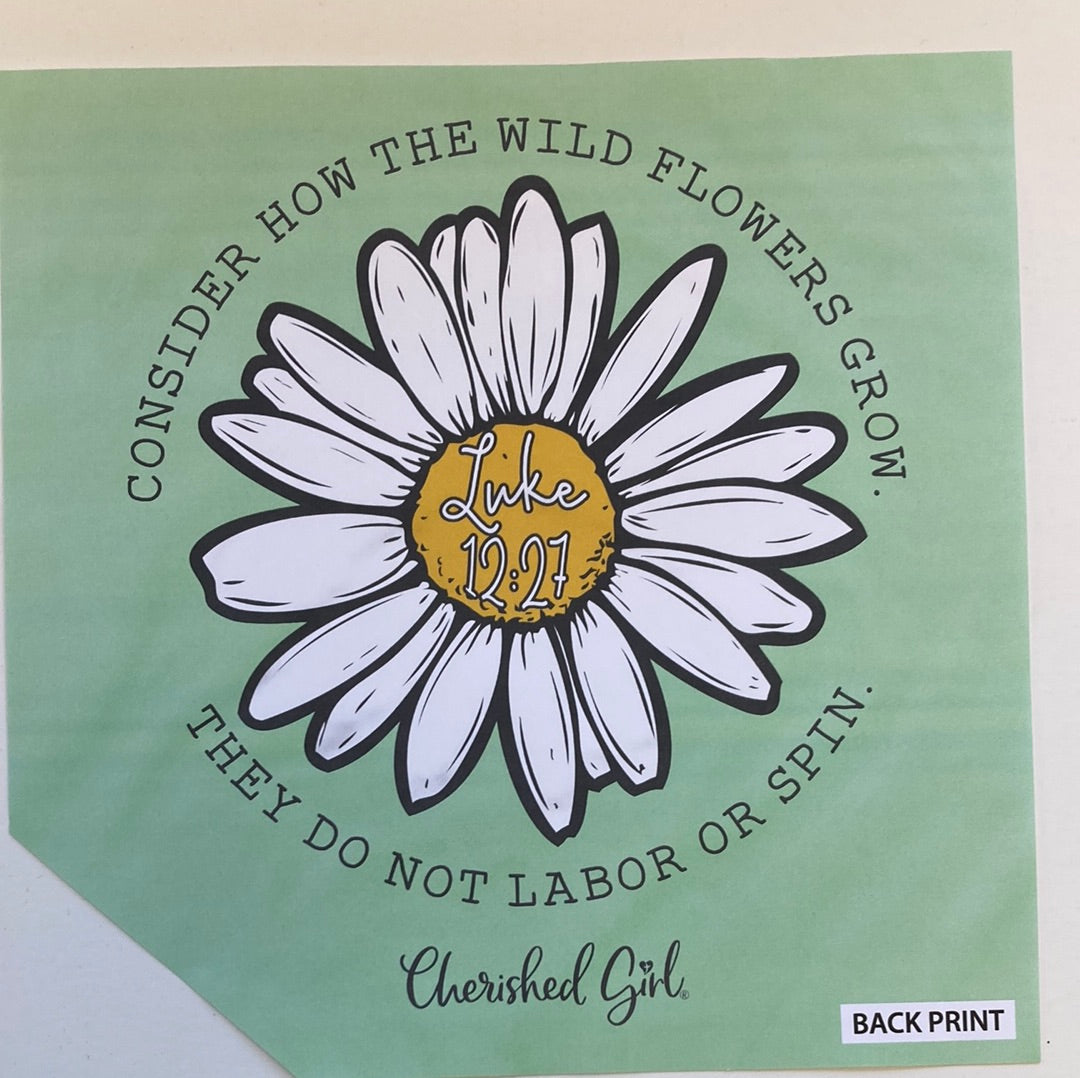 CONSIDER THE WILDFLOWERS CHER GIRL TEE XL-5295