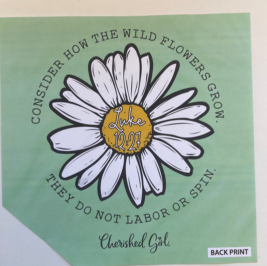 CONSIDER THE WILDFLOWERS CHER GIRL TEE XL-5295