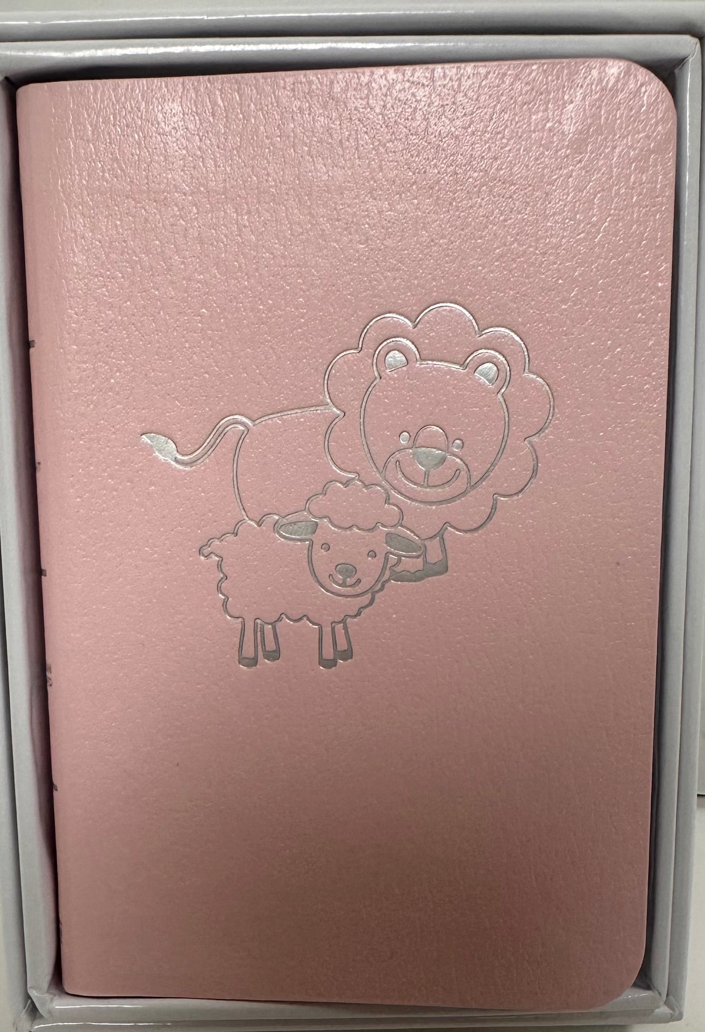 CSB BABY'S NEW TESTAMENT W/PSALMS PINK-2958