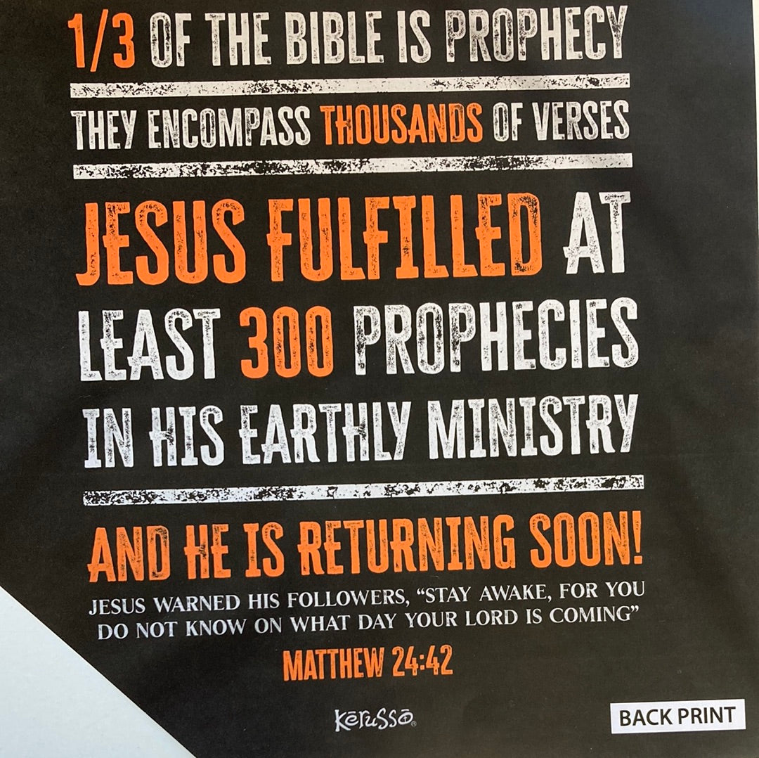 PROPHECY IS PROOF ADULT TEE MED-4304