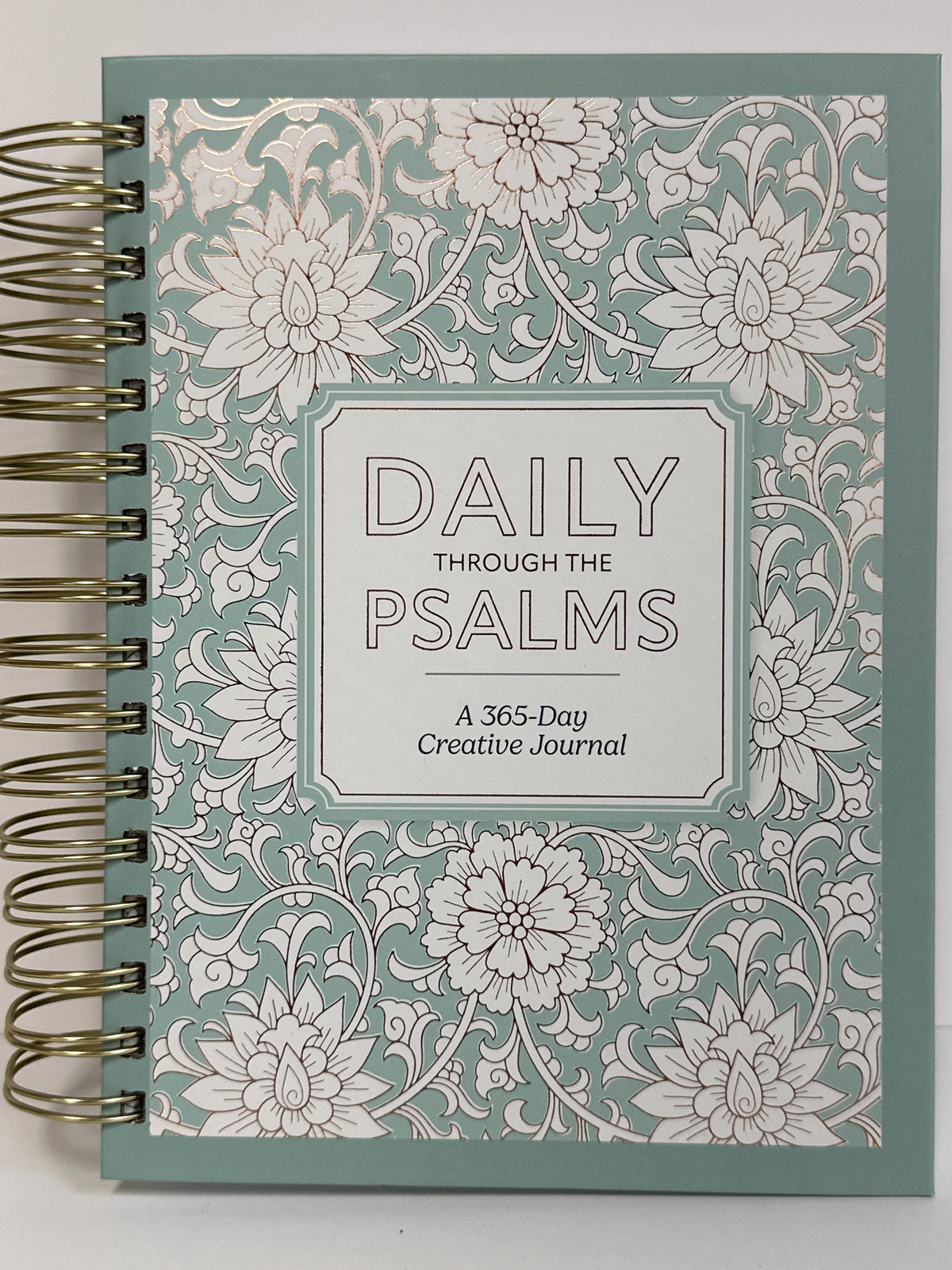 DAILY THROUGH THE PSALMS CREATIVE JOURNAL-2308