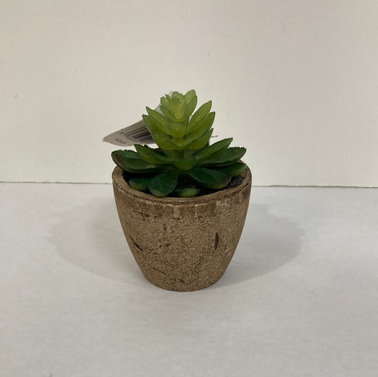 ARTIFICIAL POTTED SUCCULENTS-6579
