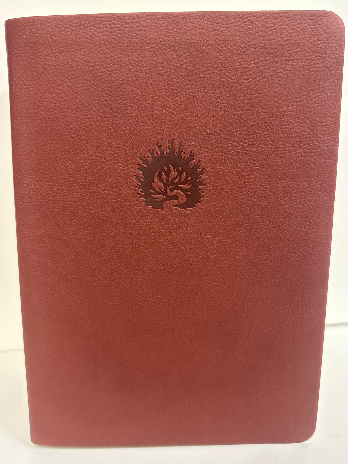 ESV REFORMATION STUDY BIBLE BRICK RED-6172