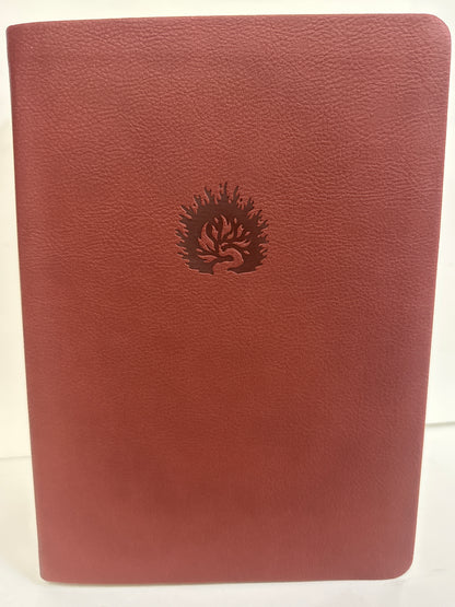 ESV REFORMATION STUDY BIBLE BRICK RED-6172