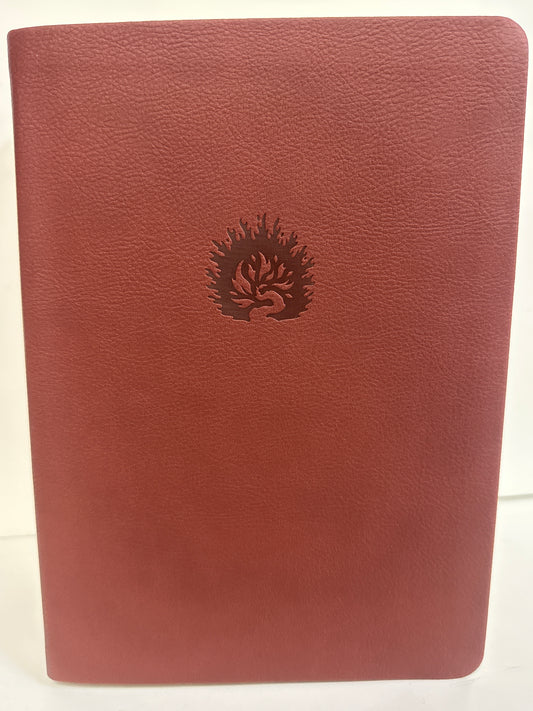 ESV REFORMATION STUDY BIBLE BRICK RED-6172