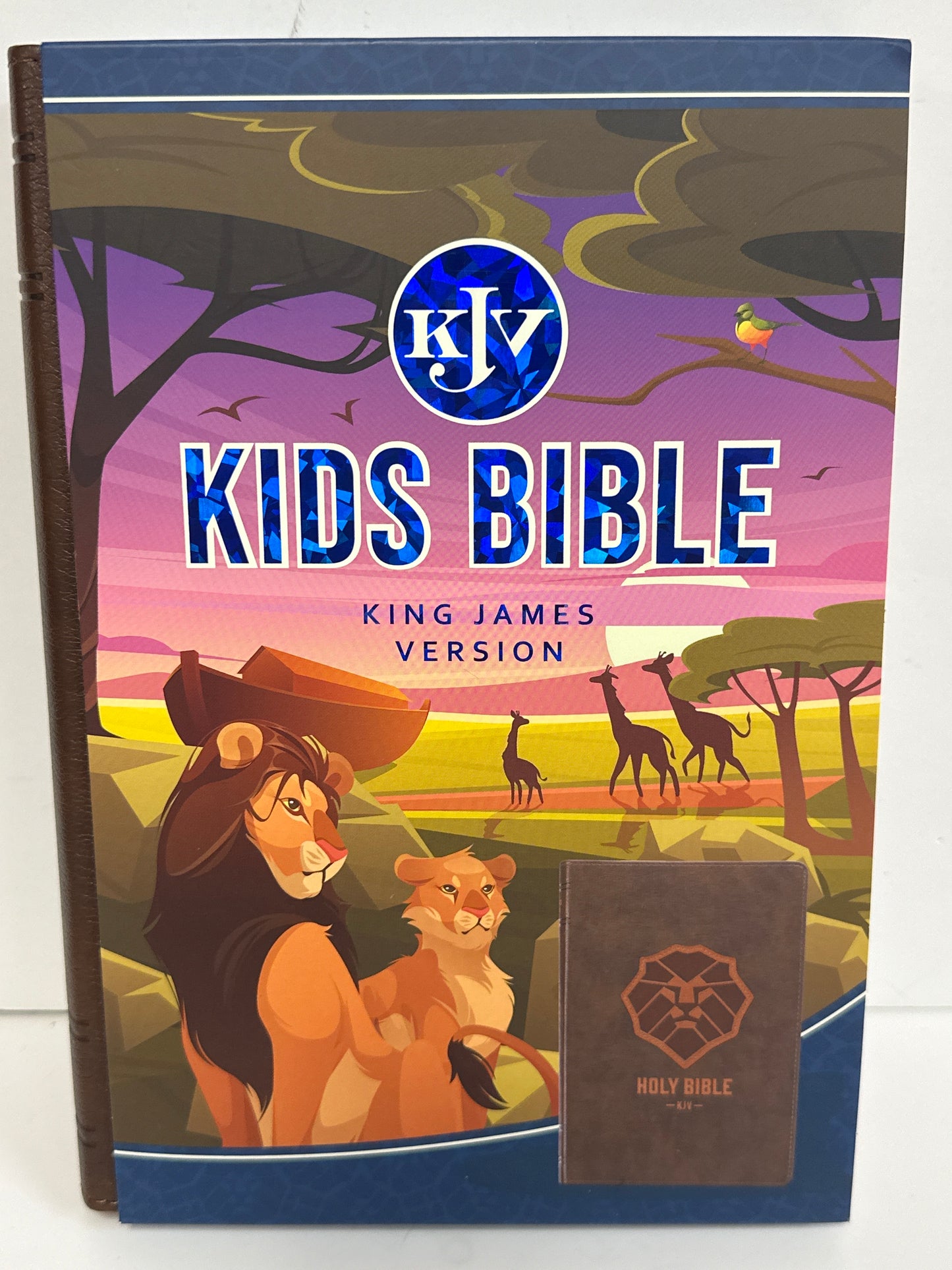 KJV KIDS BIBLE BROWN-2989