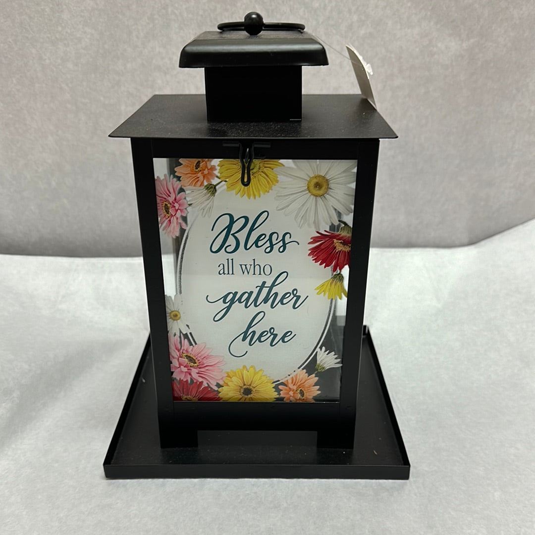 ALL WHO GATHER BIRD FEEDER-2549