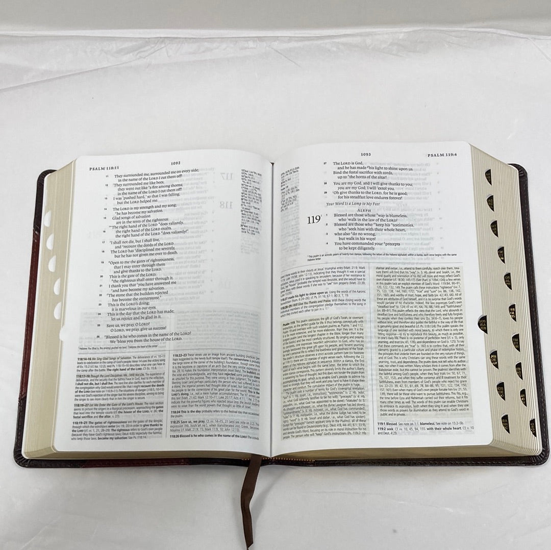 ESV STUDY BIBLE BROWN/CORDOVAN-4040