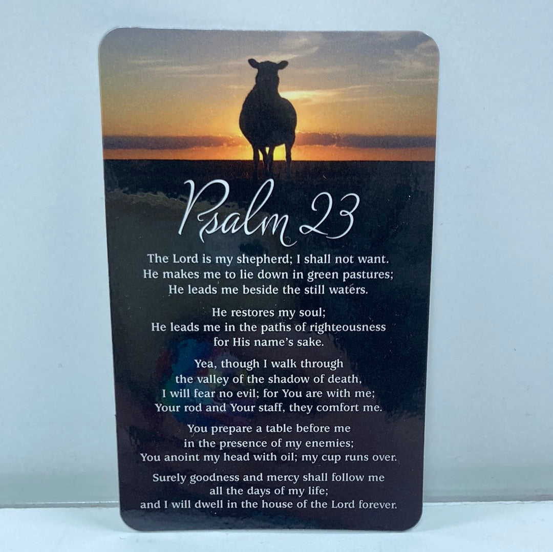 PSALM 23 POCKETCARD-1456