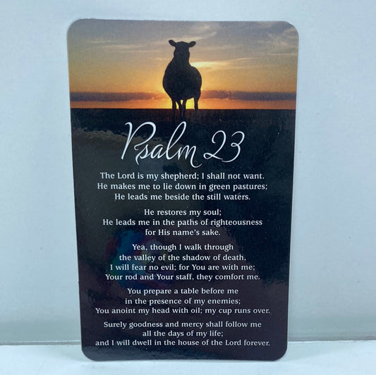 PSALM 23 POCKETCARD-1456