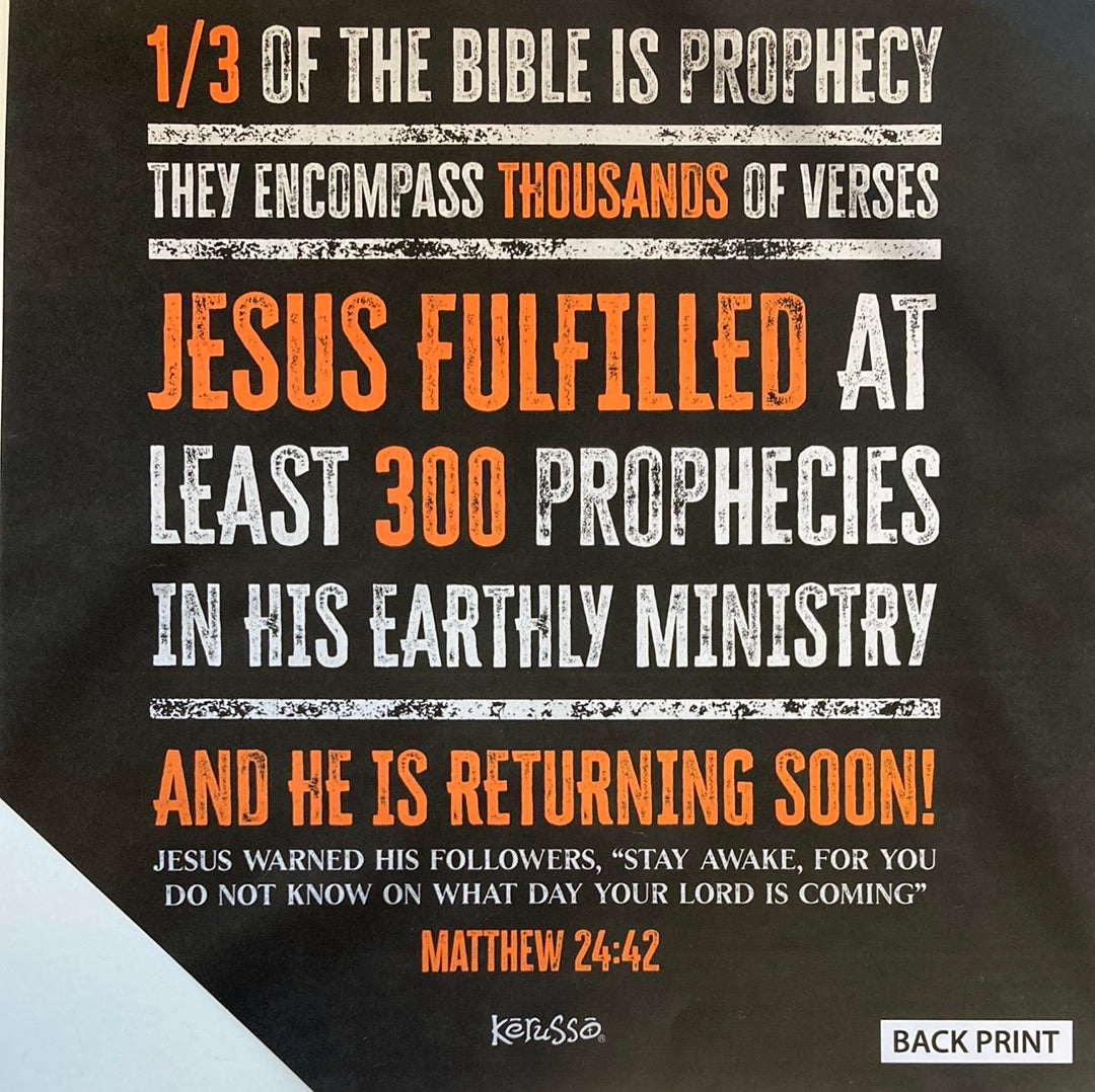 PROPHECY IS PROOF ADULT TEE LG-4311