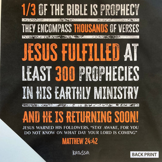 PROPHECY IS PROOF ADULT TEE LG-4311