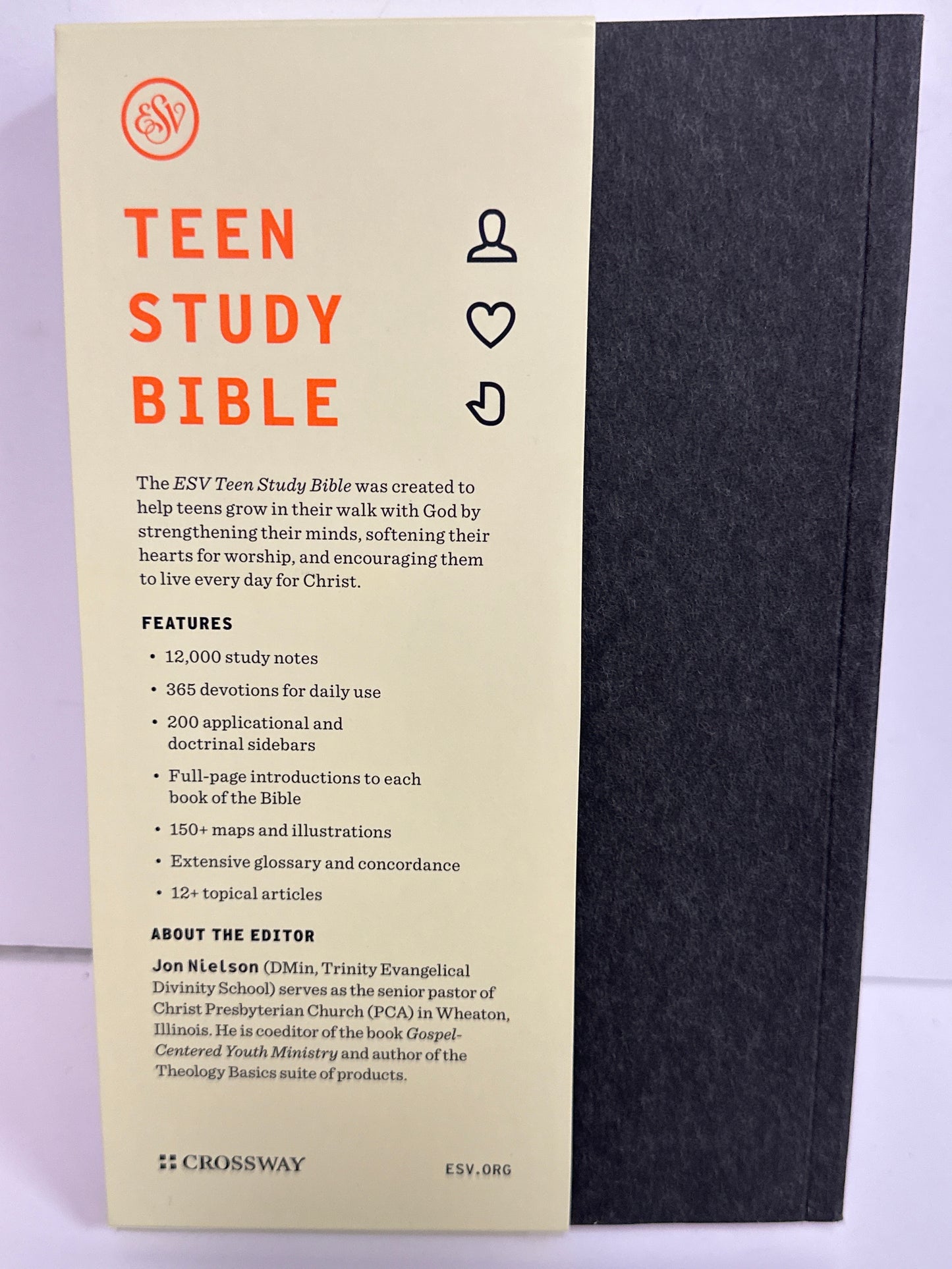 ESV TEEN STUDY BIBLE SOFTCOVER-8921