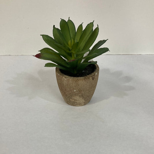 ARTIFICIAL POTTED SUCCULENTS-6531