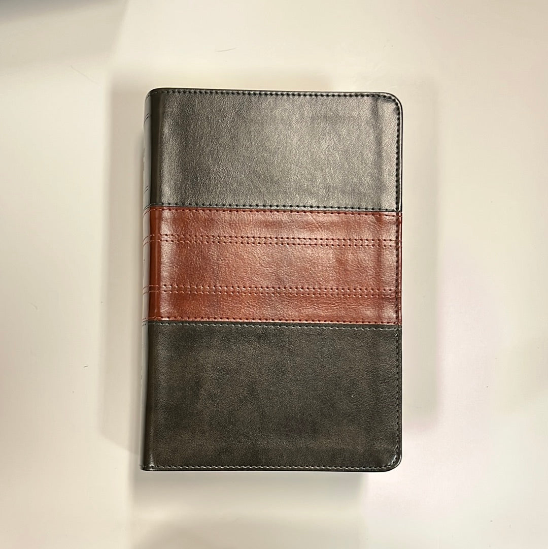 ESV STUDY BIBLE PER/SIZE FO/TAN-8556